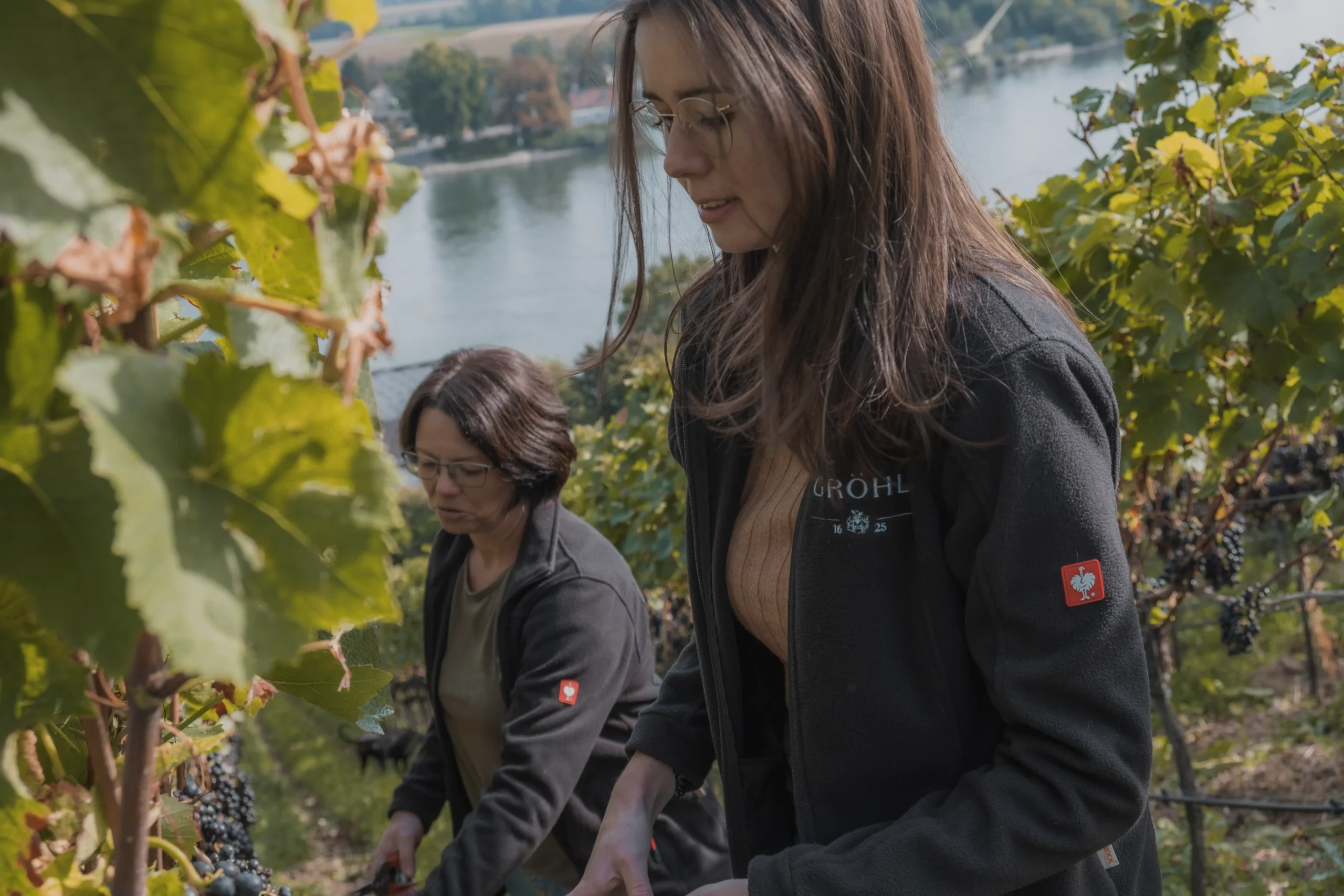 Image with Johannes Gröhl's mom and his girlfriend, the winemakers from Gröhl winery in Germany, checking their grapes in the wineyard a sunny day. Utvalt vin direkt hem till dörren | Belle Maison