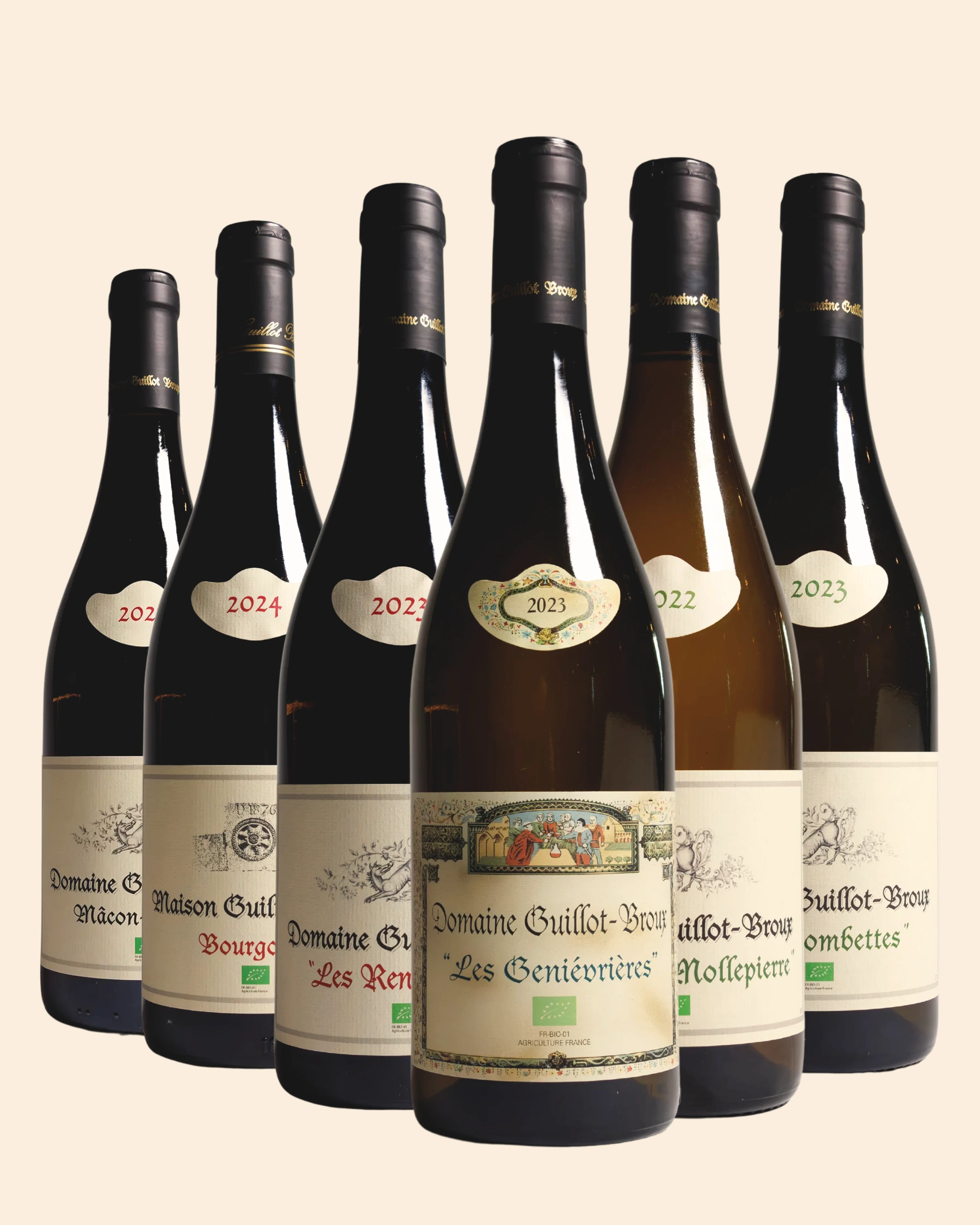Guillot-Broux-6-pack.webp